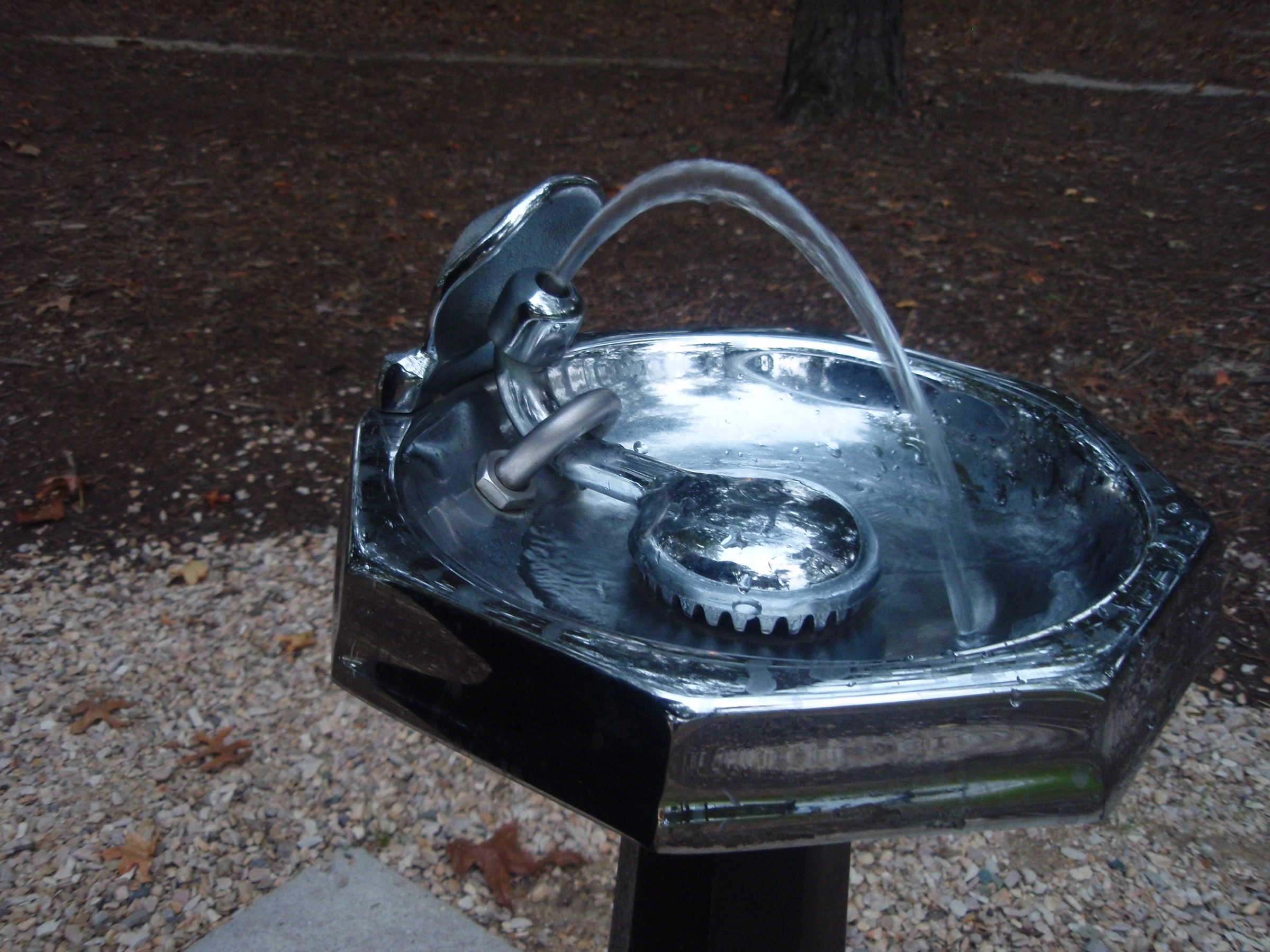 Water arcs from a chrome outdoor drinking fountain into a reflective basin surrounded by woodland ground.